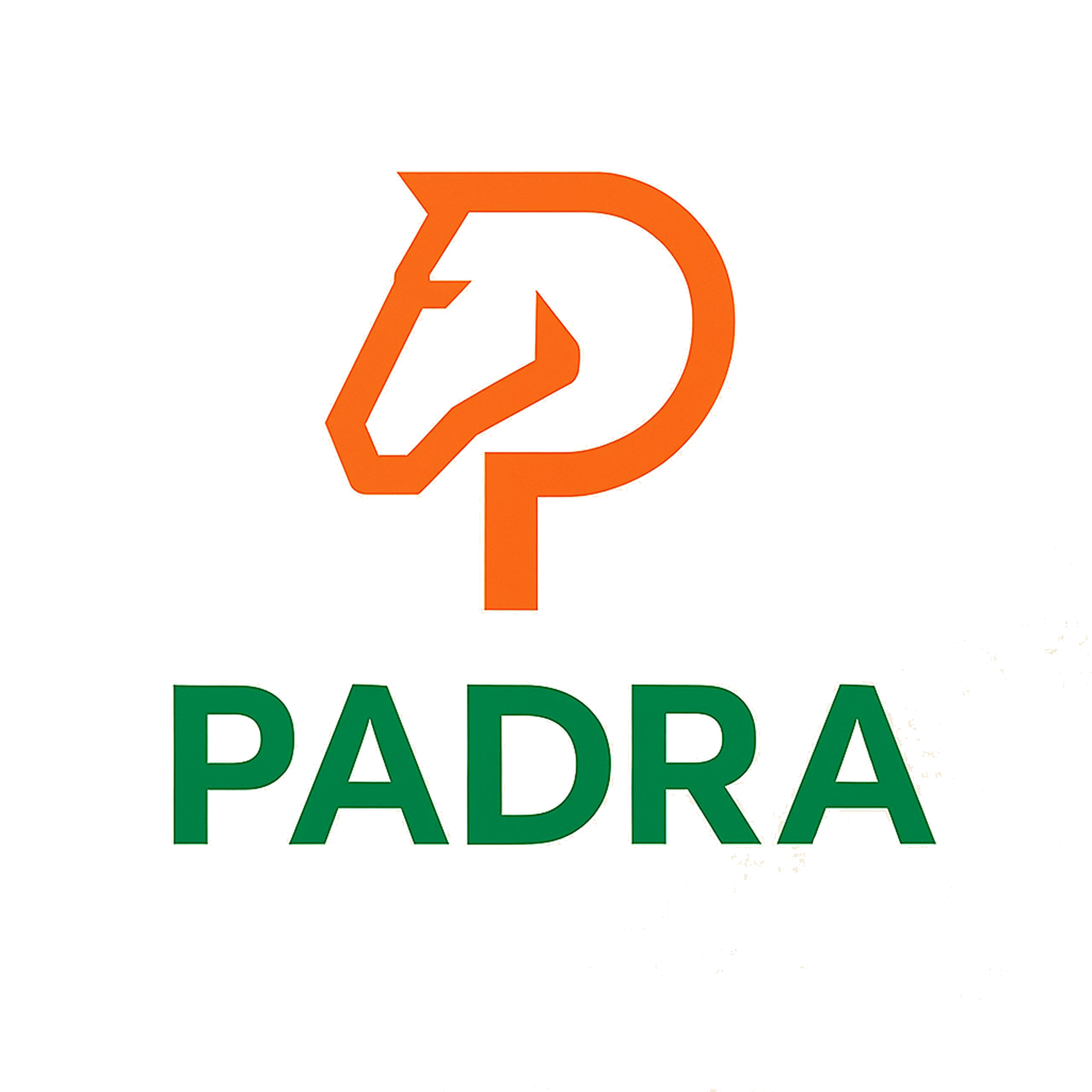 شرکت پادرا (Padra Trd)